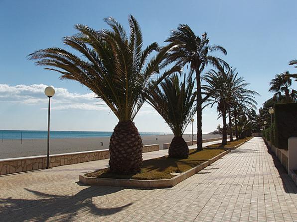 VEN A LA COSTA DAURADA - NO TE LO DEJES PERDER 7