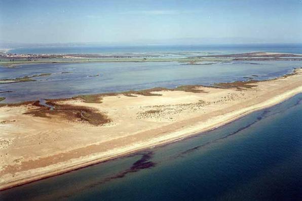 Platja de la Gola de Migjorn - Sant Jaume d'Enveja