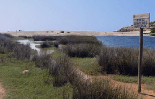 Campos de olivas y masias de lŽAmetlla de Mar