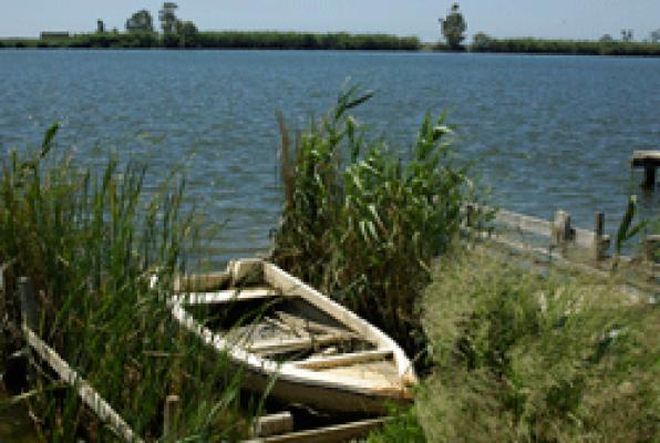 Recorregut per l'interior del delta de l'Ebre