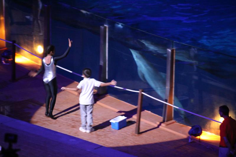 Un ni&ntilde;o participa en el espect&aacute;culo nocturno del Aquopolis.