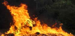 Gran festa a la platja de Salou per celebrar Sant Joan