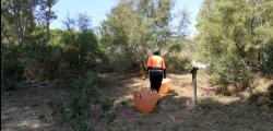 Cleaning in the wooded area of ​​Cap de Salou