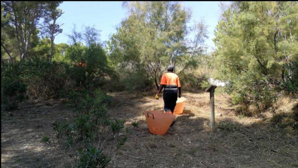 The cleaning works of the undergrowth are carried out periodically