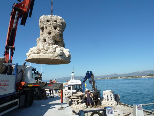  Image of the marine biotopes placed on the Poniente beach of Salou