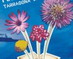 Mostra de focs artificials a Tarragona aquest juliol