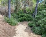 El Camí de Ronda té gran valor mediambiental i paisatgístic