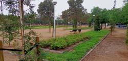 Replanten el Parc Manel Albinyana per recuperar els arbres perduts