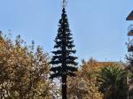 The new Christmas Tree of Salou 