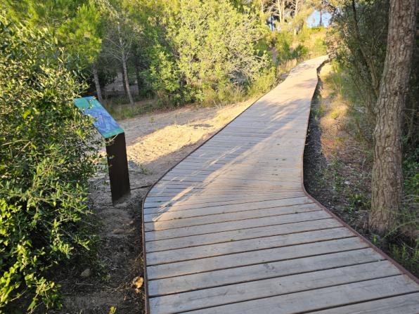 Pla del Maset and Duna Gran Forest route