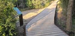 Ruta del Pla del Maset y el Bosque de la Duna Grande