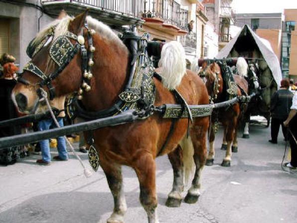 Begin the Celebrations of San Antonio in Cambrils