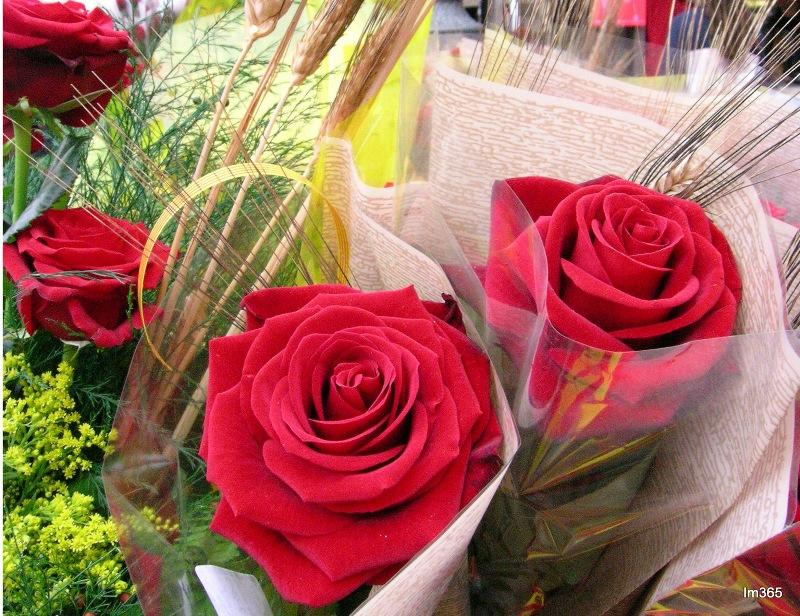 M&aacute;s actos con motivo de la festividad de Sant Jordi