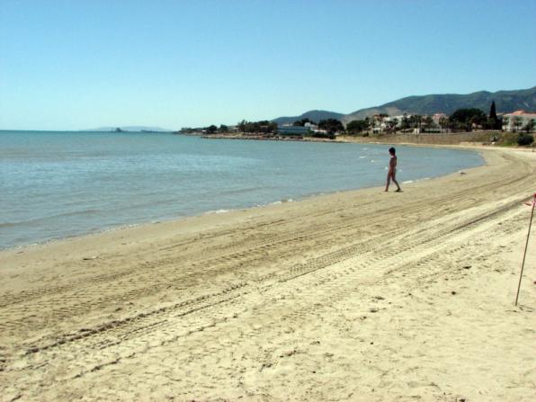 Les platges i ports de la Costa Daurada i l'Ebre lluiran 46 banderes blaves aquest estiu