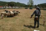 The International Skill Shepherd Dogs of Prades will be on 2nd August