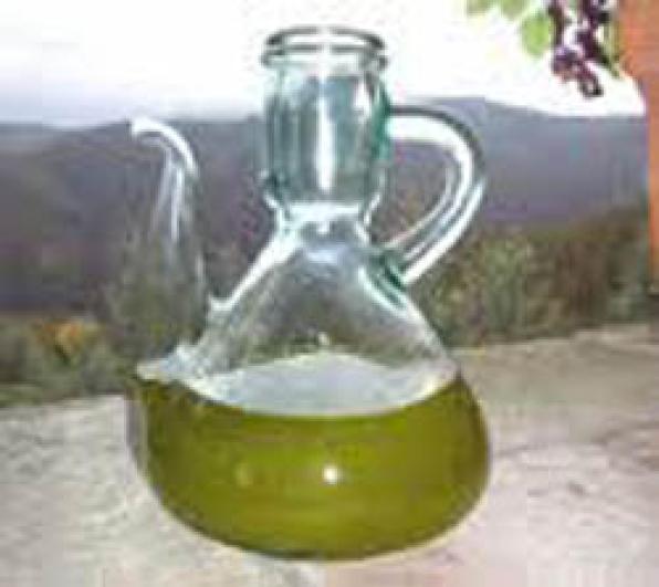 Feast of the new Olive oil Morell this December 13