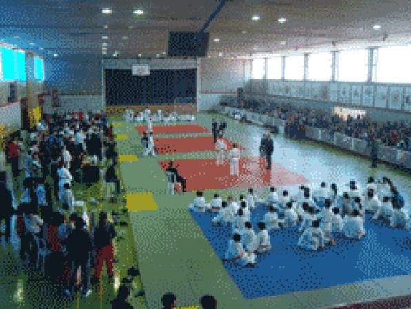 L'Hospitalet de l'Infant hosts Sunday the League final Judo