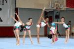 Vandellòs rep la final del Campionat de Catalunya de gimnàstica rítmica