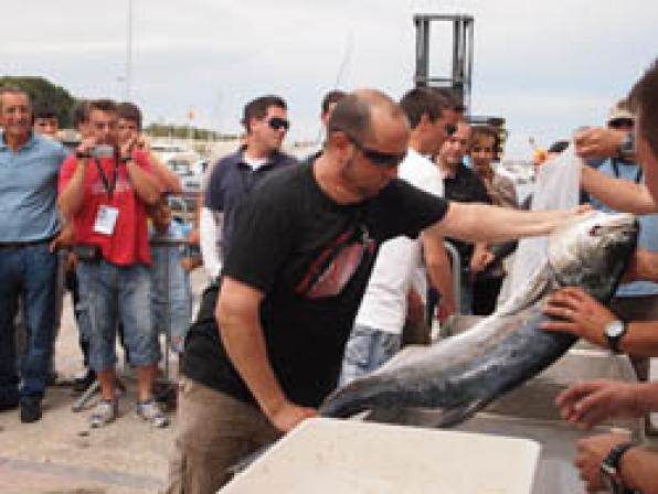 Un equipo de Mataró gana la prueba del Campeonato de Pesca Submarina en L'Hospitalet de lŽInfant