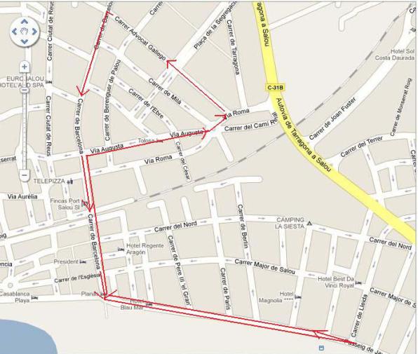 Coso Blanco 2011. Parade floats. 5 February. 10:30 pm Travel. 1