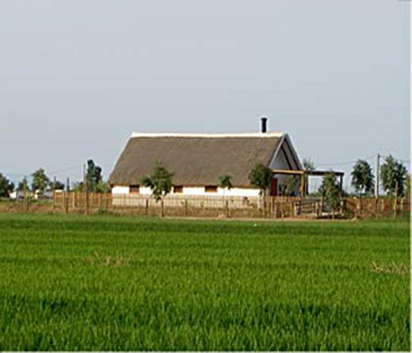 Barraca del Salvador - Deltebre