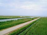 Benvinguts al Parc Natural del Delta de l'Ebre