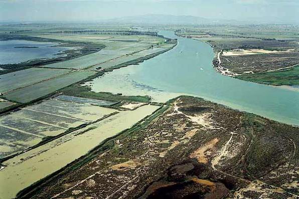 Bienvenidos al Parque Natural del Delta del Ebro 4