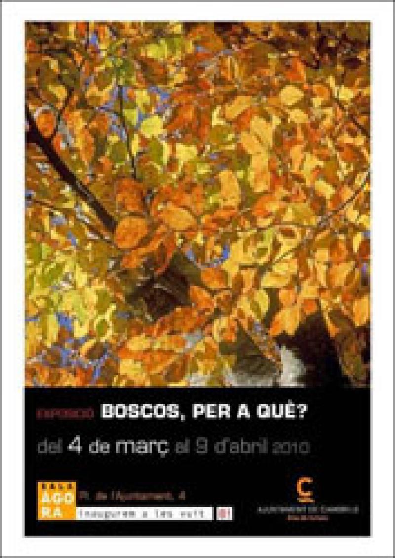Cambrils. Sala Agora. Exposici&oacute;n.